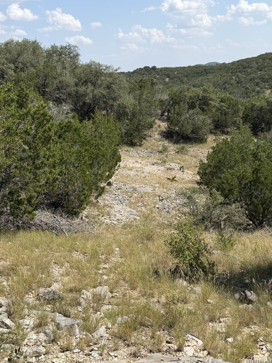 139.88 acres in Edwards County - photo 43