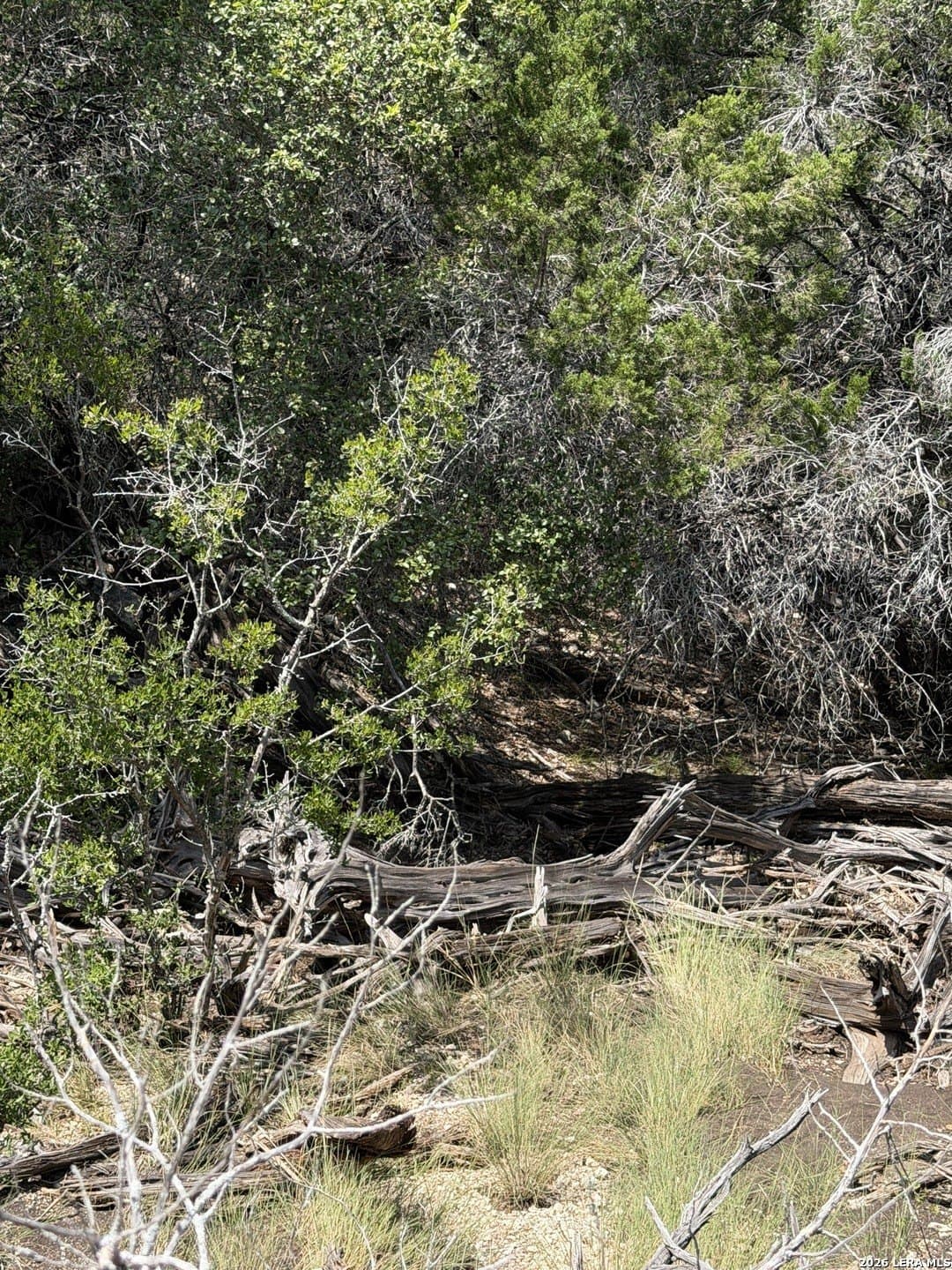 139.88 acres in Edwards County - photo 32