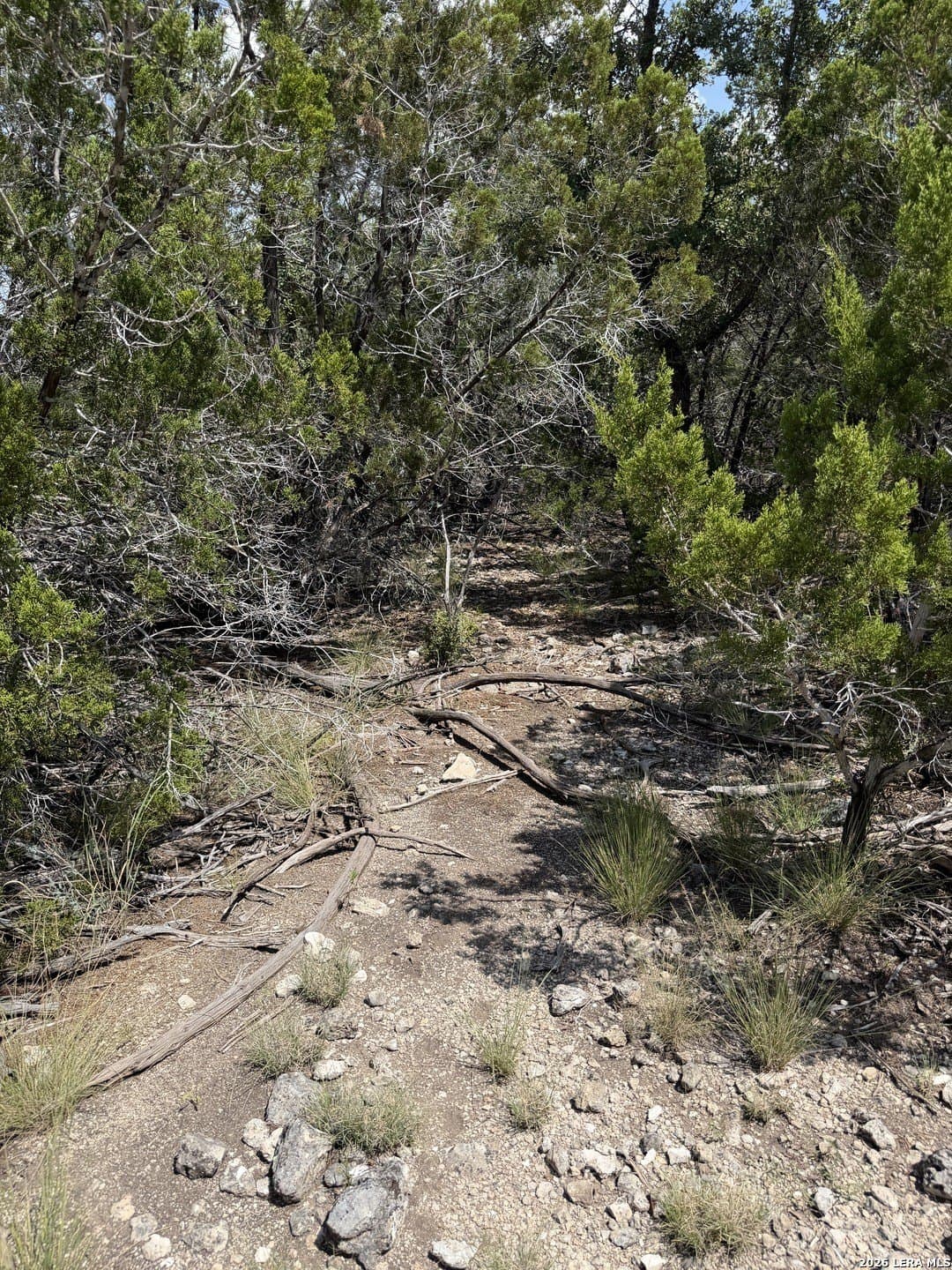 139.88 acres in Edwards County - photo 29
