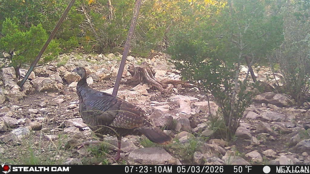 139.88 acres in Edwards County - photo 55