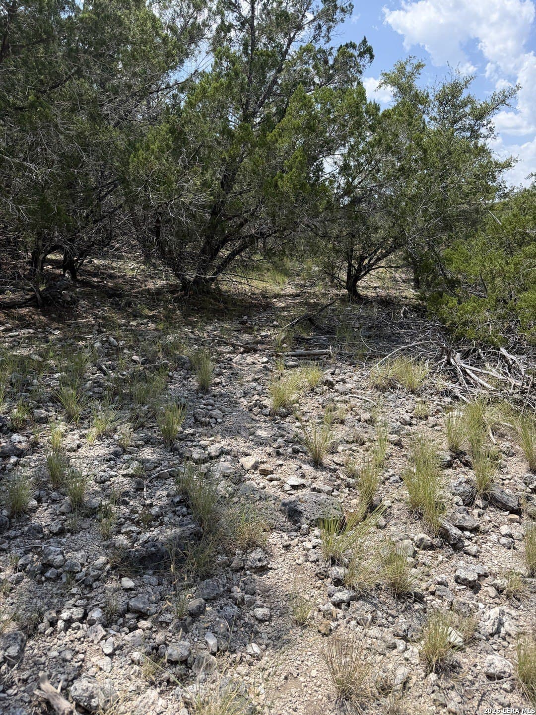 139.88 acres in Edwards County - photo 28
