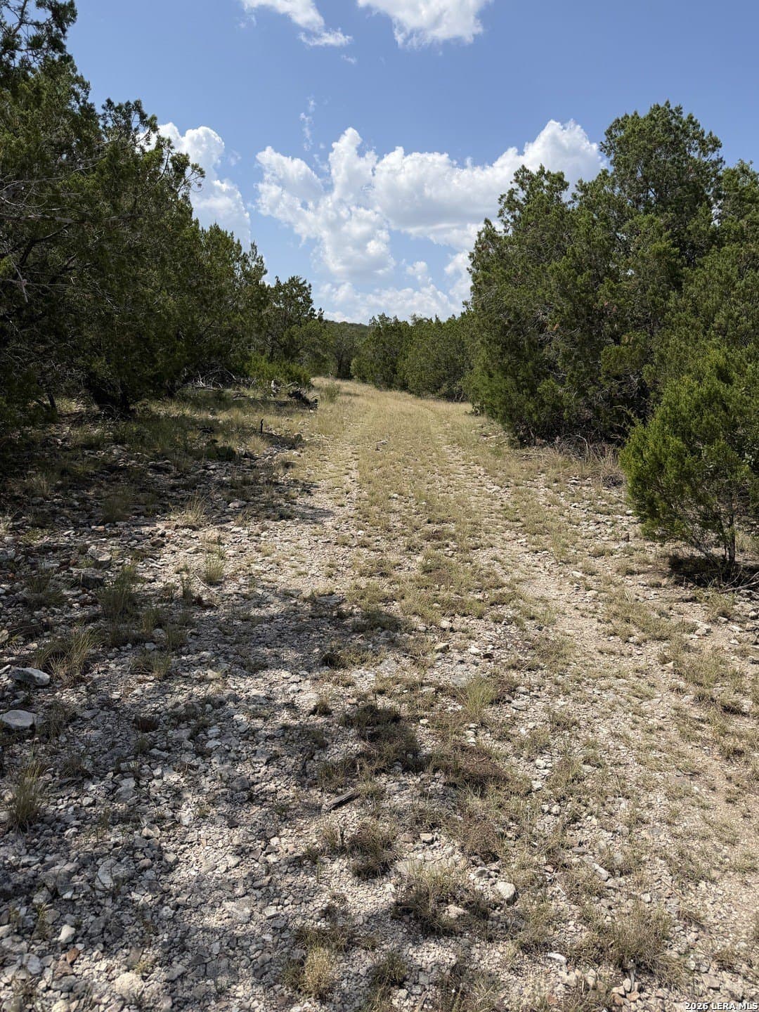 139.88 acres in Edwards County - photo 37
