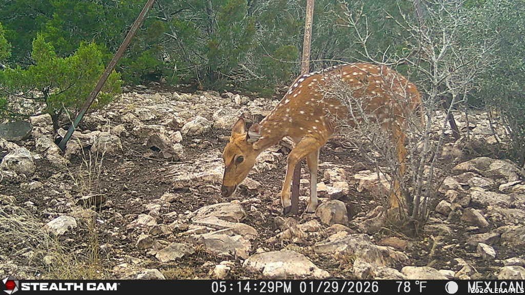 139.88 acres in Edwards County - photo 53