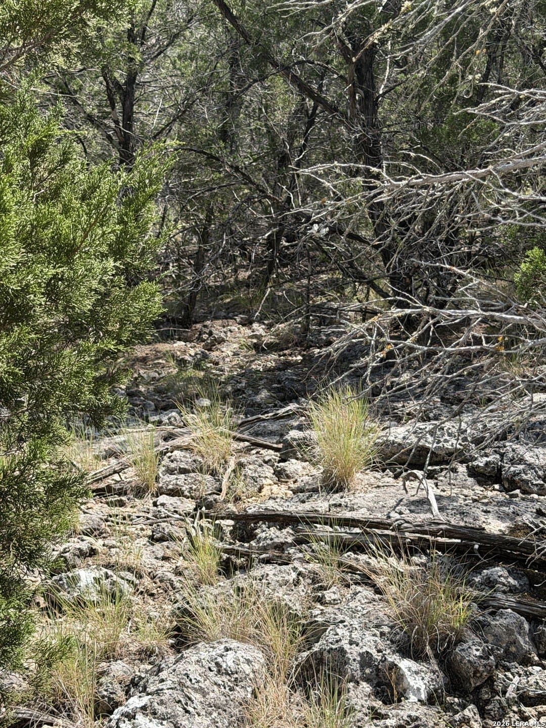 139.88 acres in Edwards County - photo 34