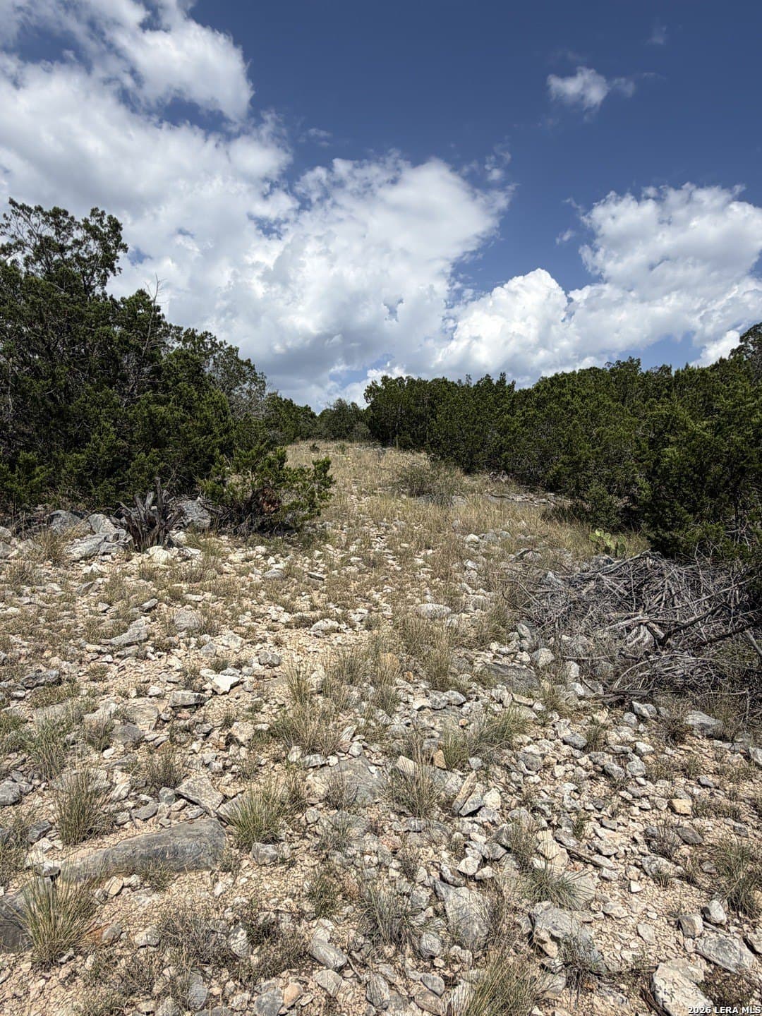 139.88 acres in Edwards County - photo 44