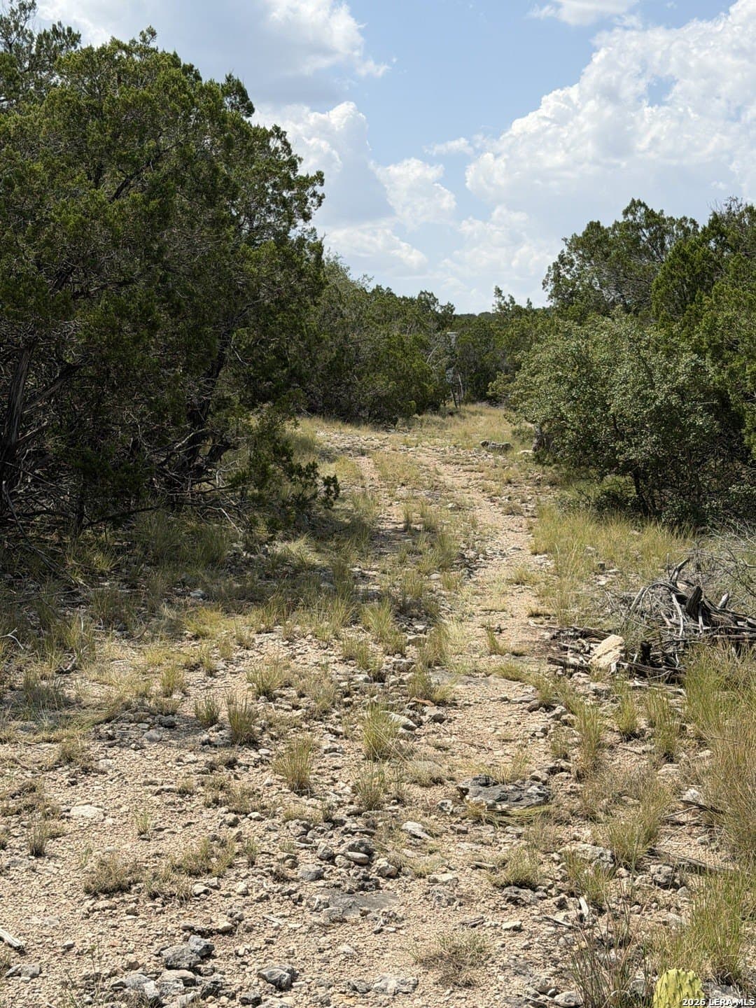 139.88 acres in Edwards County - photo 35