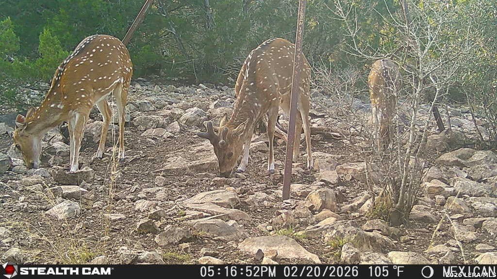 139.88 acres in Edwards County - photo 54