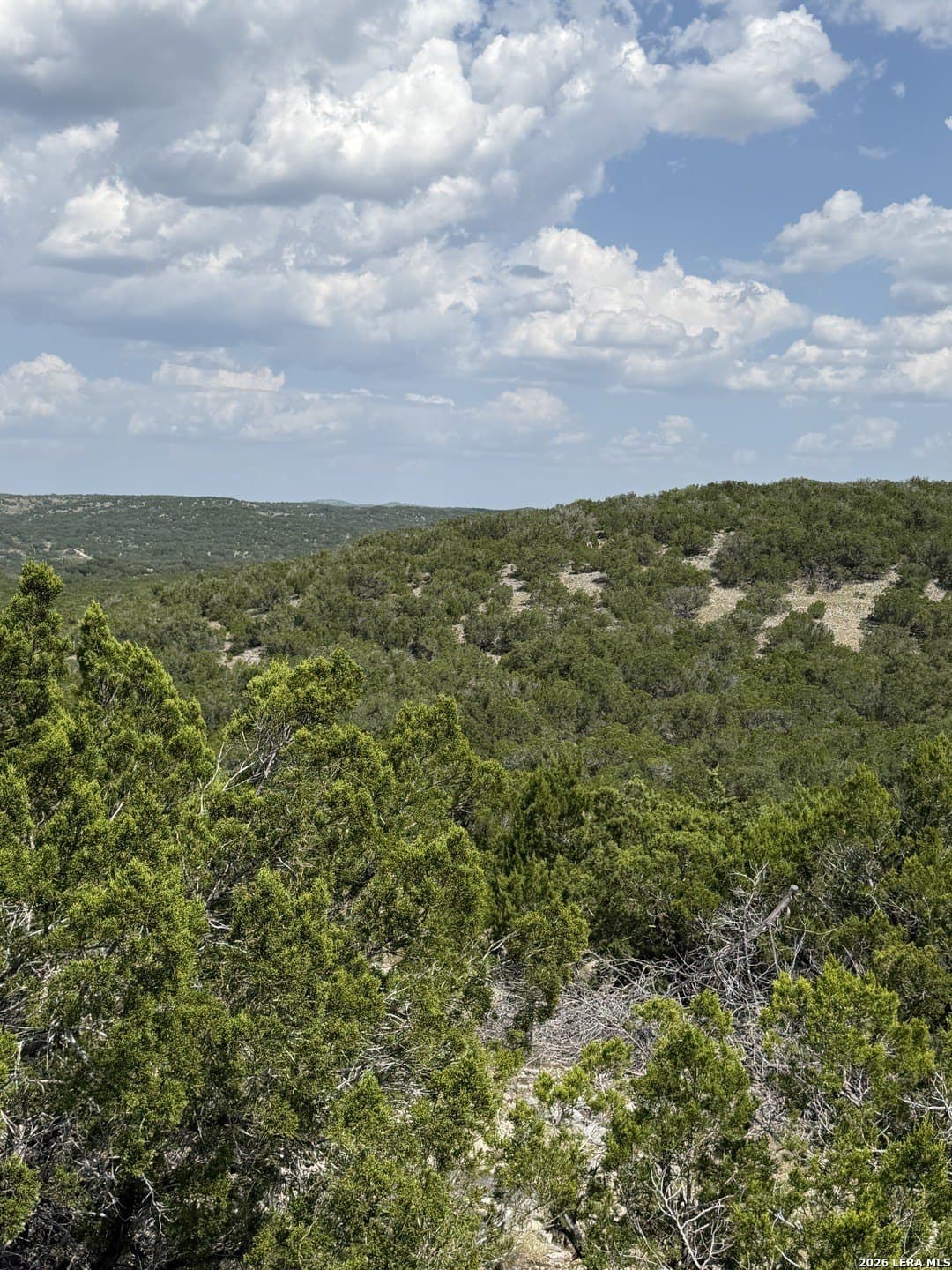 139.88 acres in Edwards County - photo 38