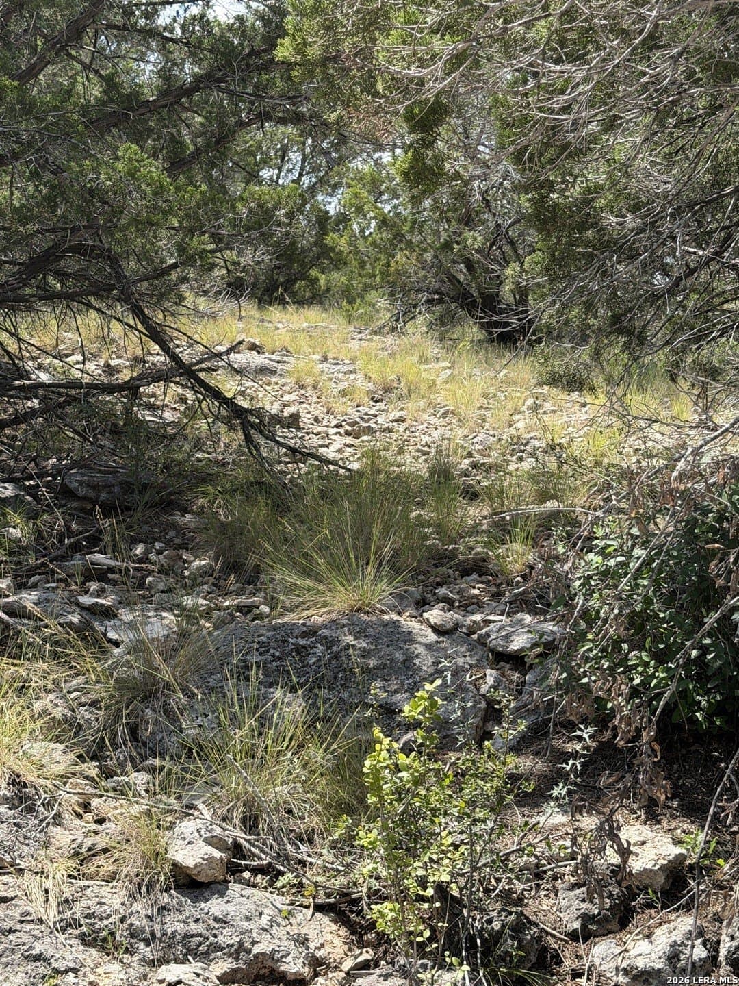 139.88 acres in Edwards County - photo 33