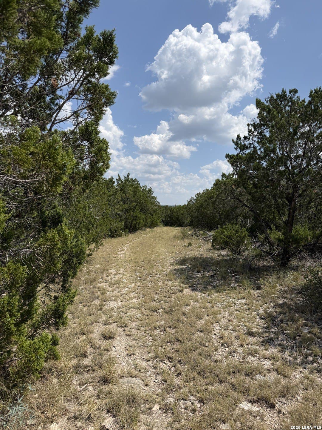 139.88 acres in Edwards County - photo 23