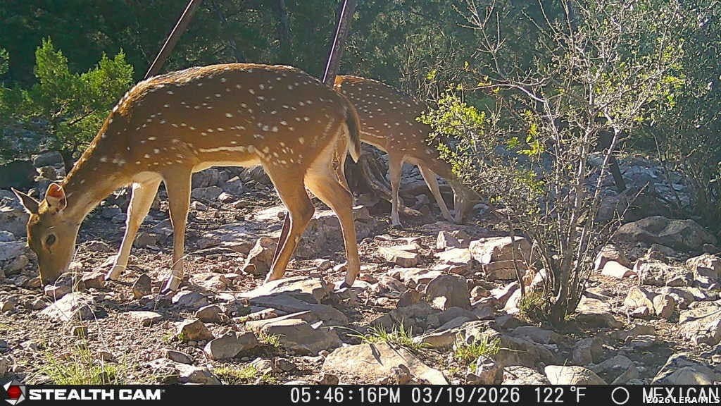 139.88 acres in Edwards County - photo 56