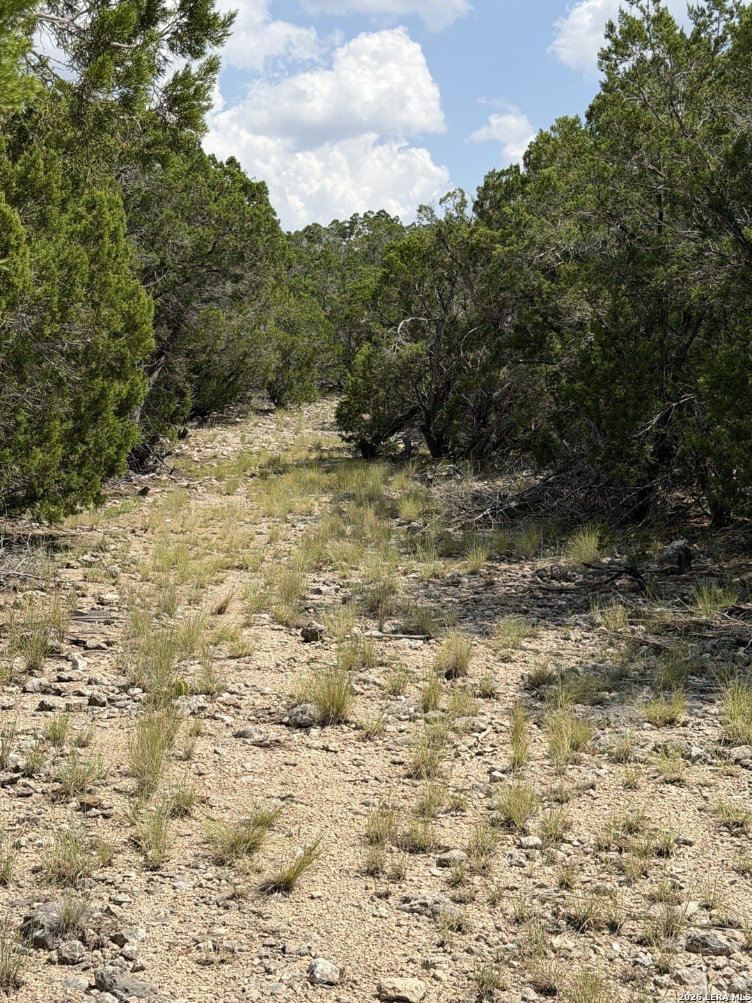 139.88 acres in Edwards County - photo 36
