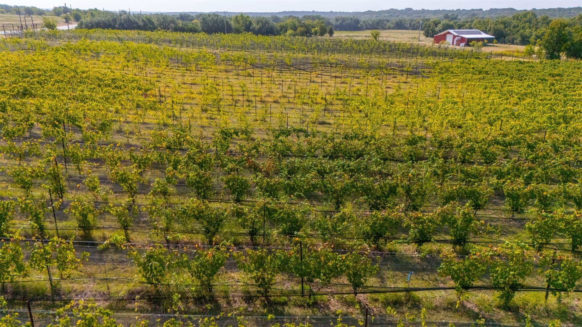 23.44 acres in Erath County - photo 5