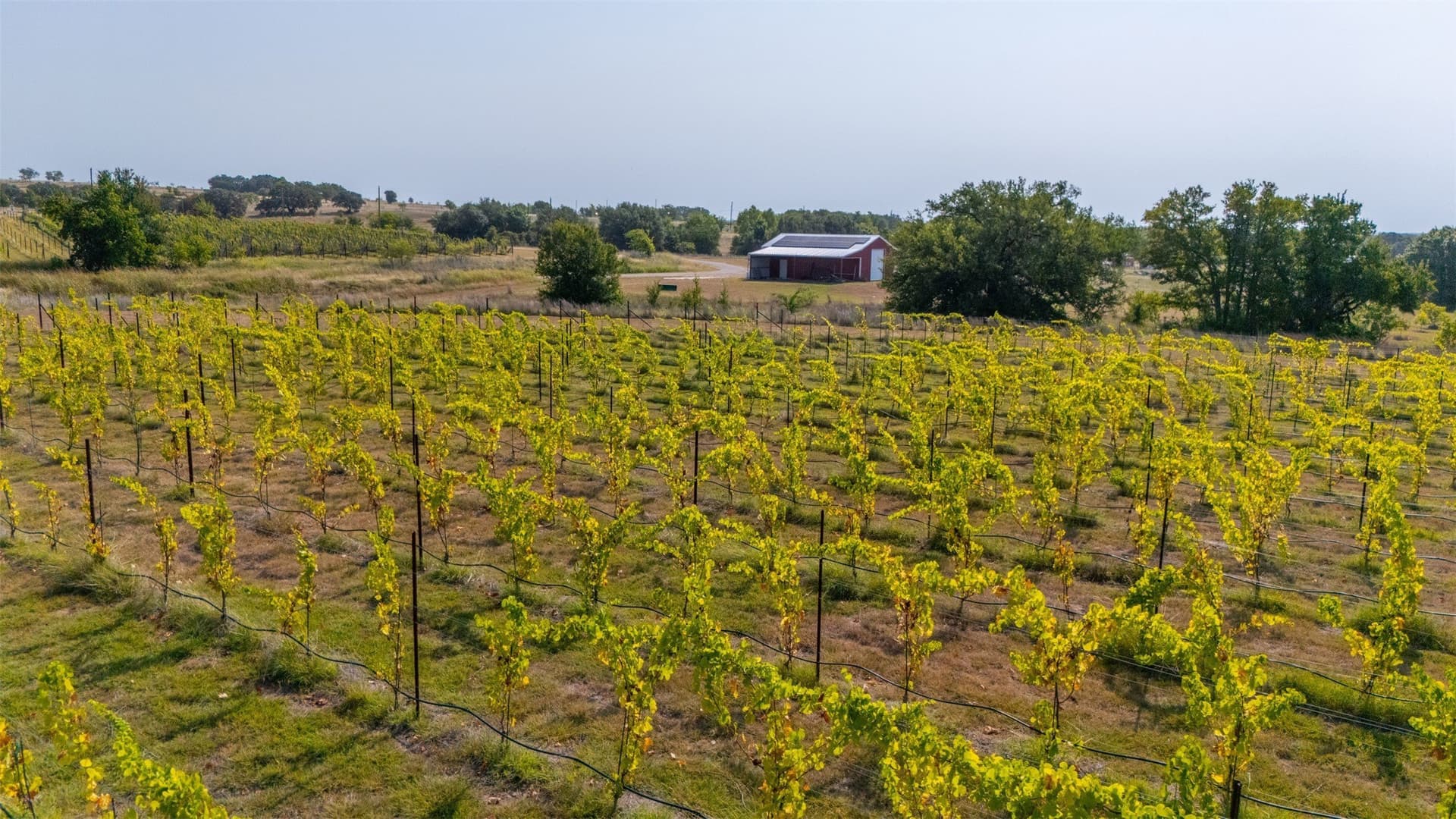 23.44 acres in Erath County - photo 37