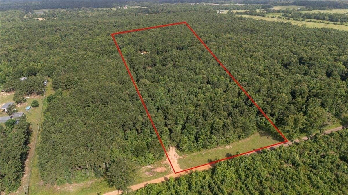 10 acres in Camp County gallery image 4