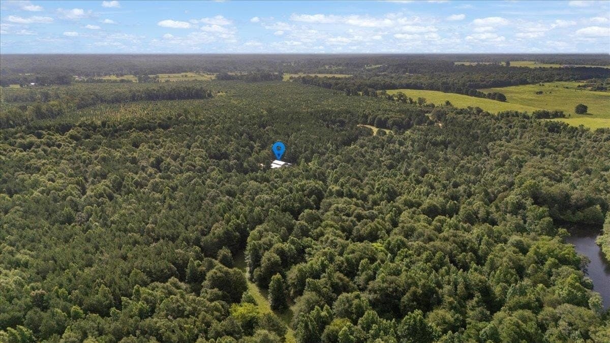 10 acres in Camp County - photo 30