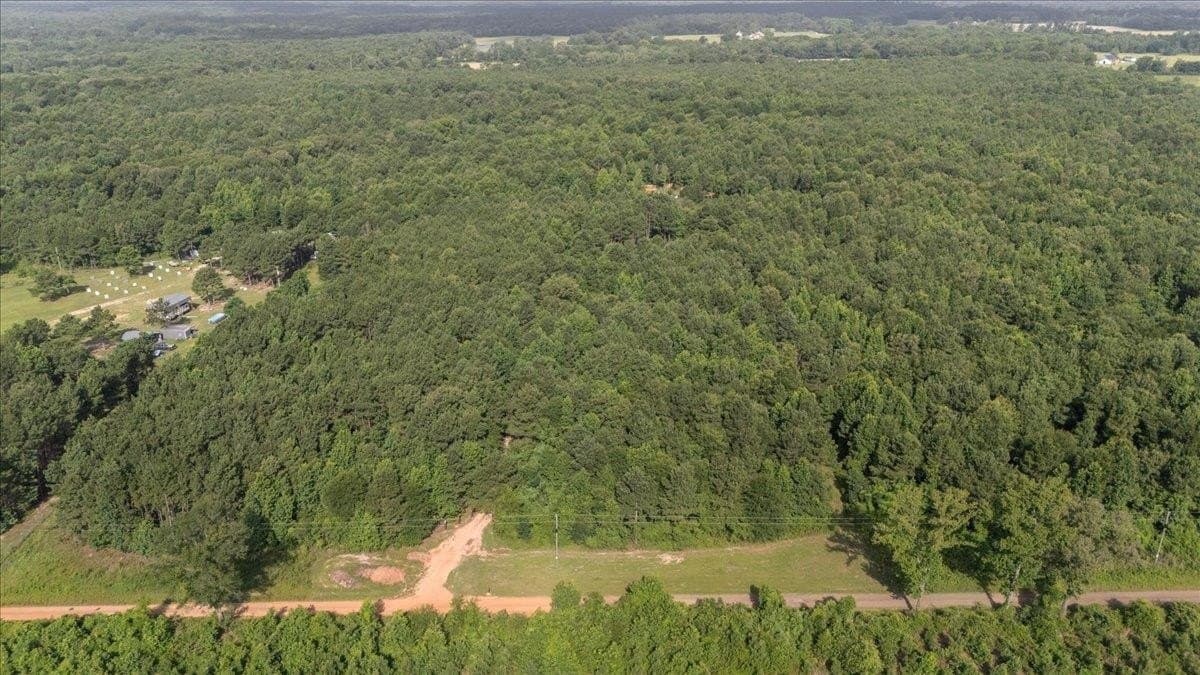 10 acres in Camp County