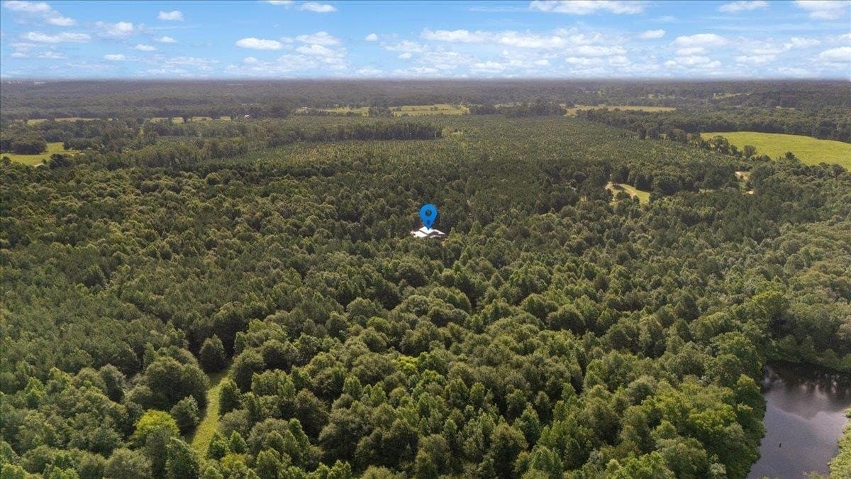 10 acres in Camp County - photo 29