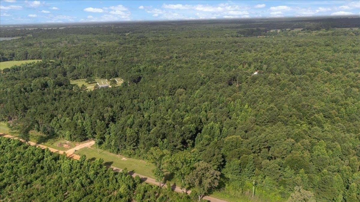 10 acres in Camp County featured view