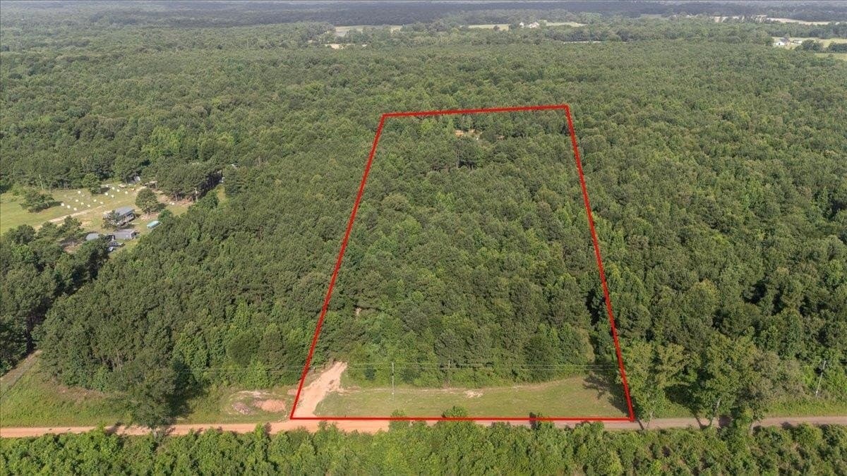 10 acres in Camp County gallery image 2