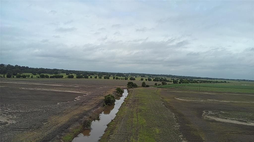 203 acres in Burleson County featured view