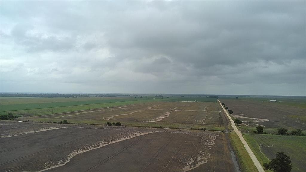 203 acres in Burleson County gallery image 4
