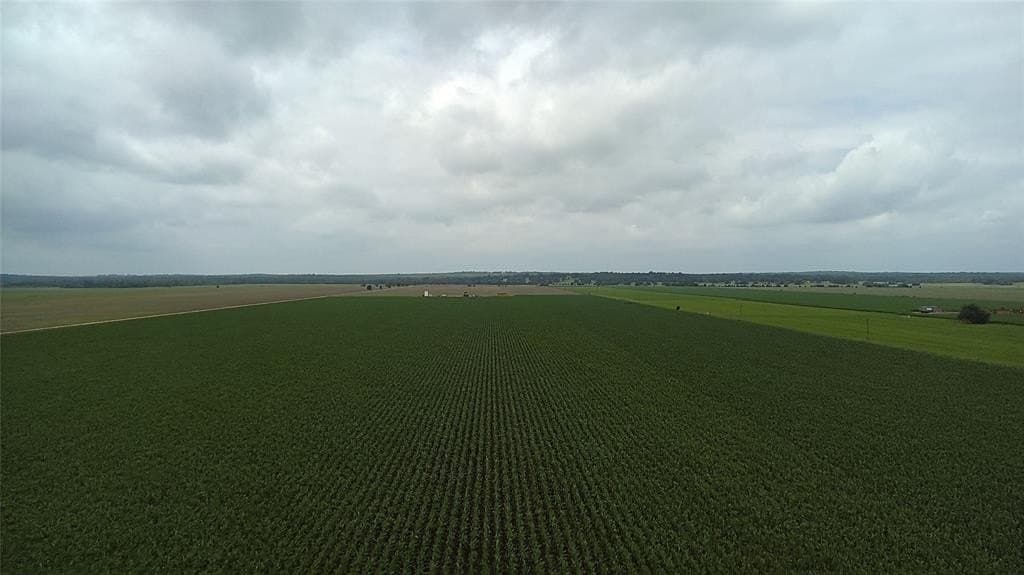 203 acres in Burleson County