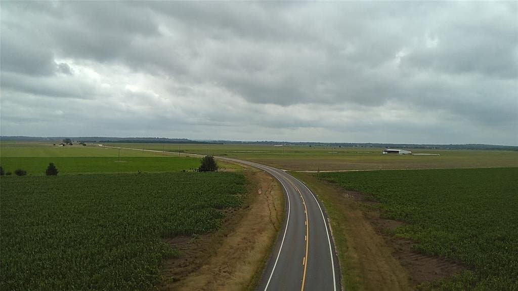 203 acres in Burleson County gallery image 2