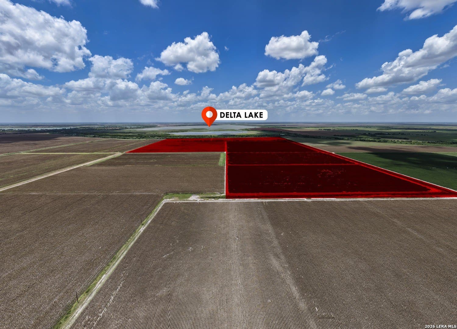 160 acres in Hidalgo County gallery image 3