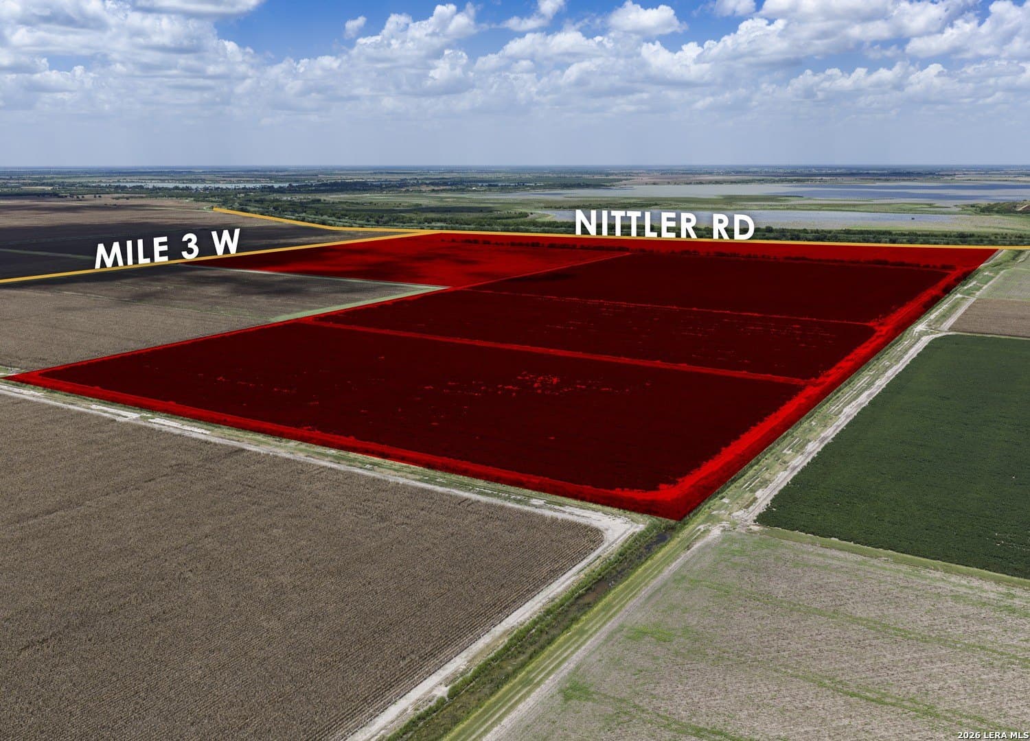 160 acres in Hidalgo County gallery image 2