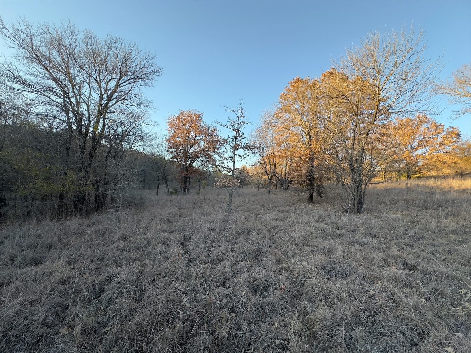 1.03 acres in Wise County - photo 2
