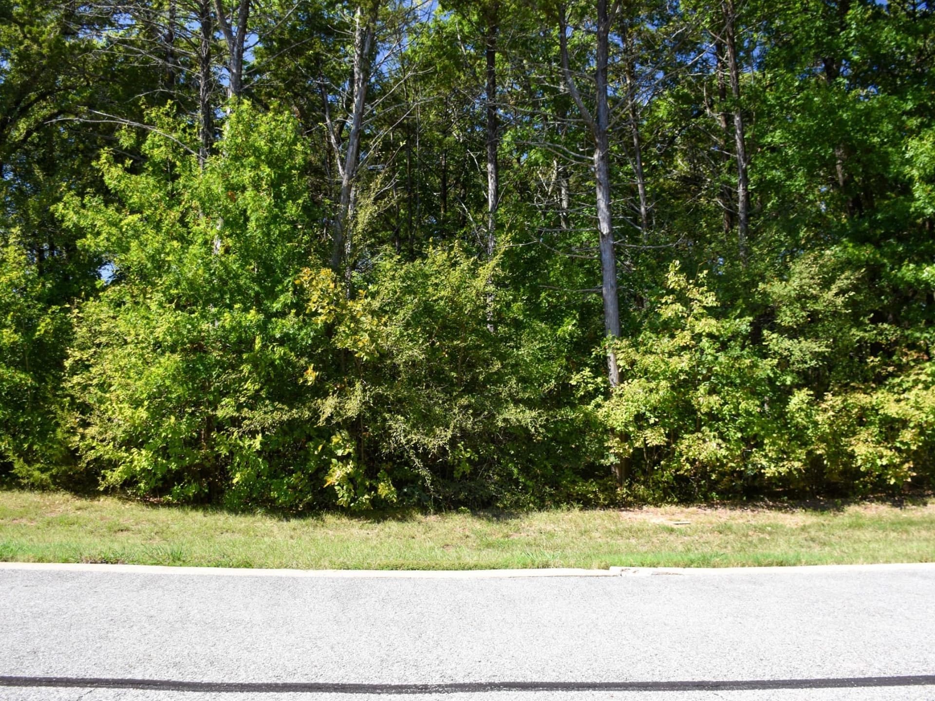 0.16 acres in Grayson County gallery image 4