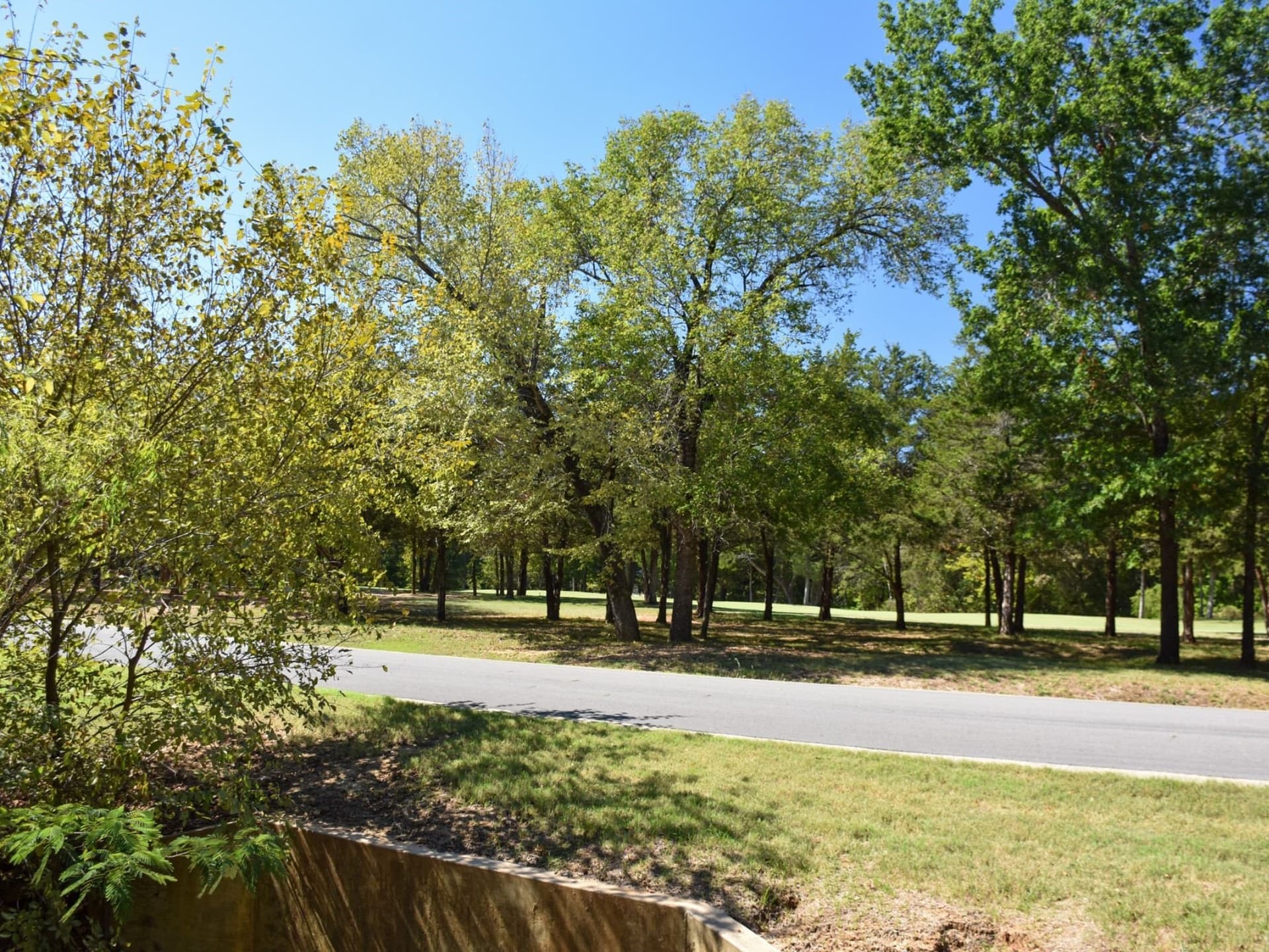 0.16 acres in Grayson County - photo 7