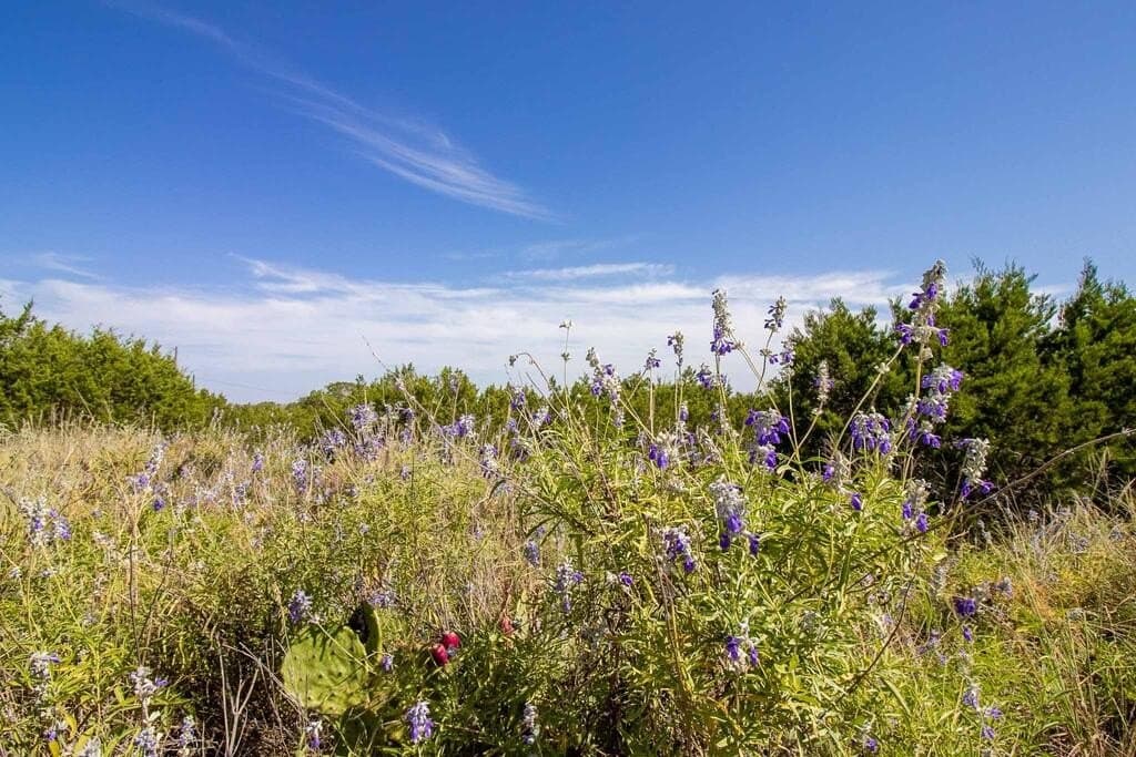 6.04 acres in Kerr County - photo 7