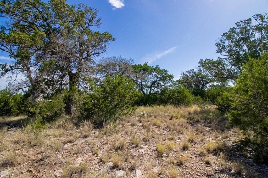 6.04 acres in Kerr County - photo 5