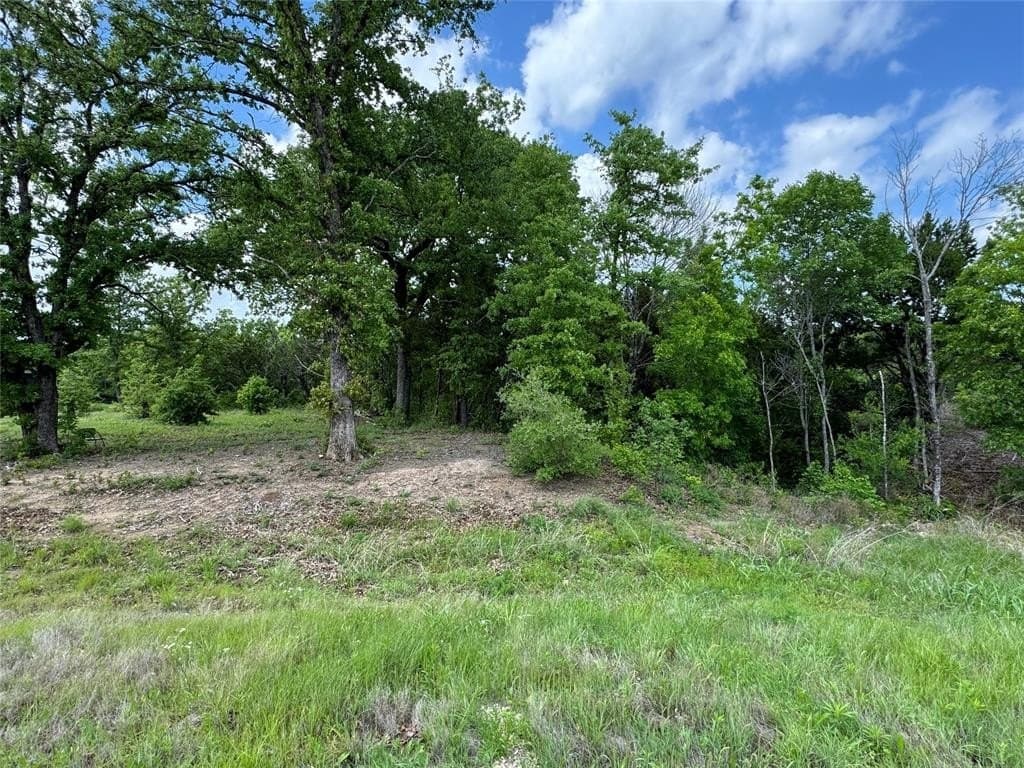 1.2 acres in Somervell County gallery image 3