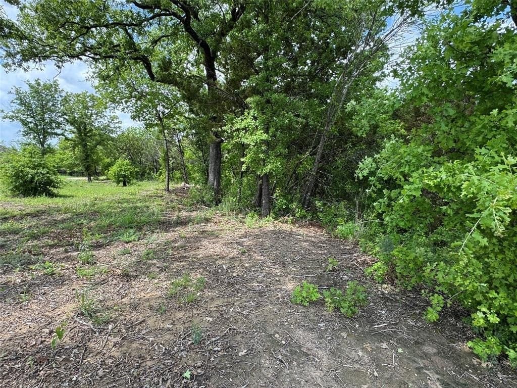 1.2 acres in Somervell County gallery image 4