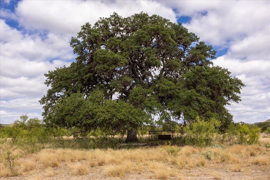 68.72 acres in Texas County - photo 49