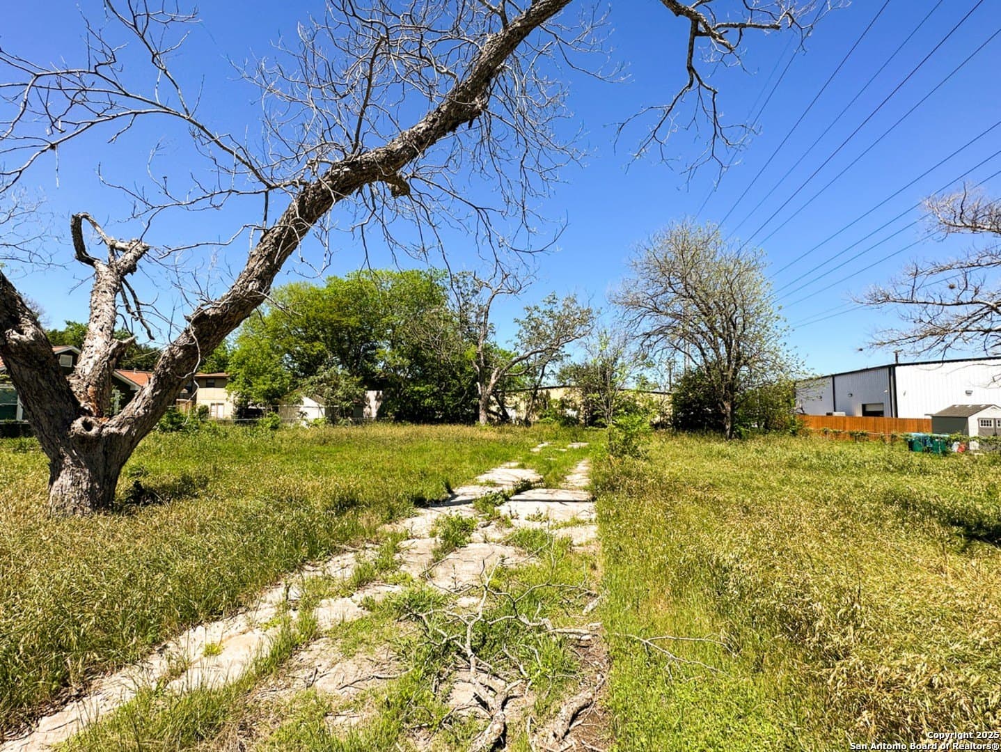 0.29 acres in Bexar County gallery image 4