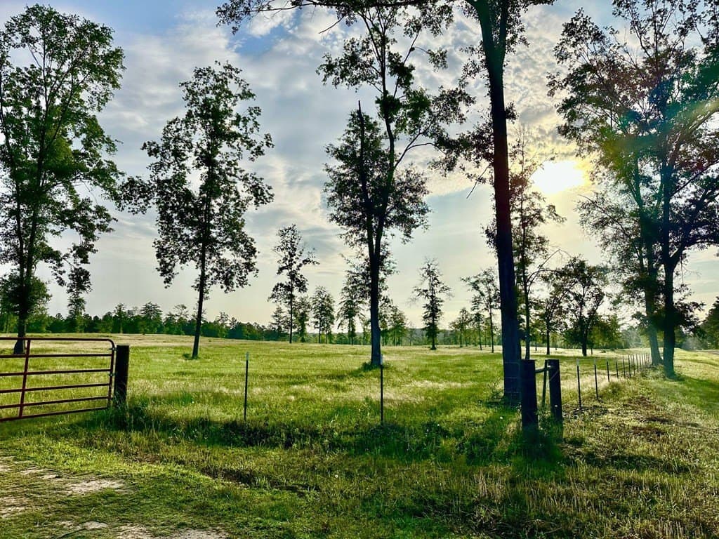 15 acres in Texas County gallery image 4