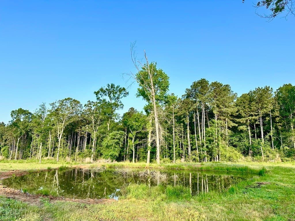 15 acres in Texas County featured view