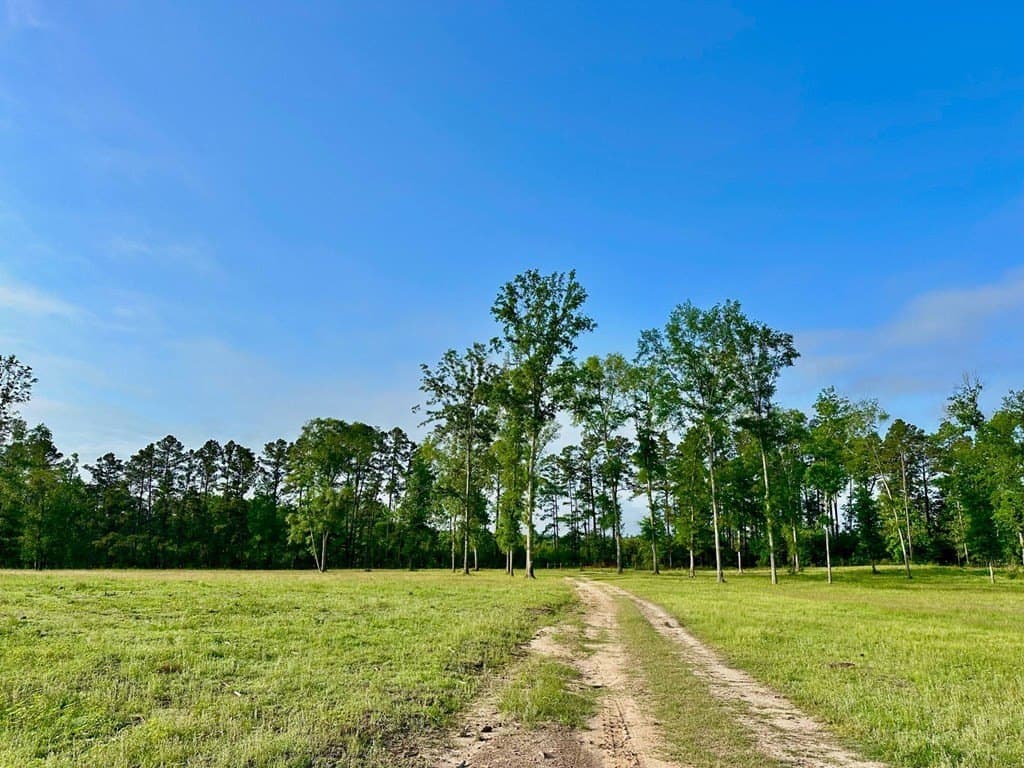 15 acres in Texas County gallery image 2