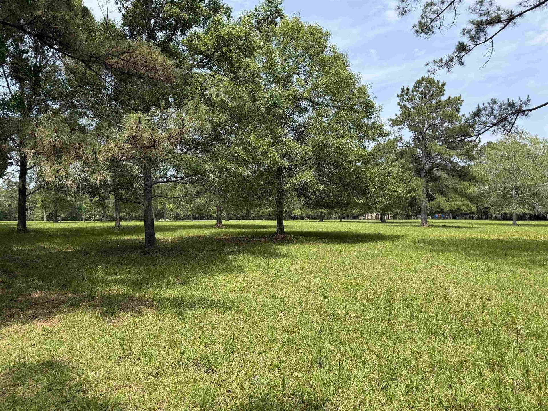 5.38 acres in Texas County
