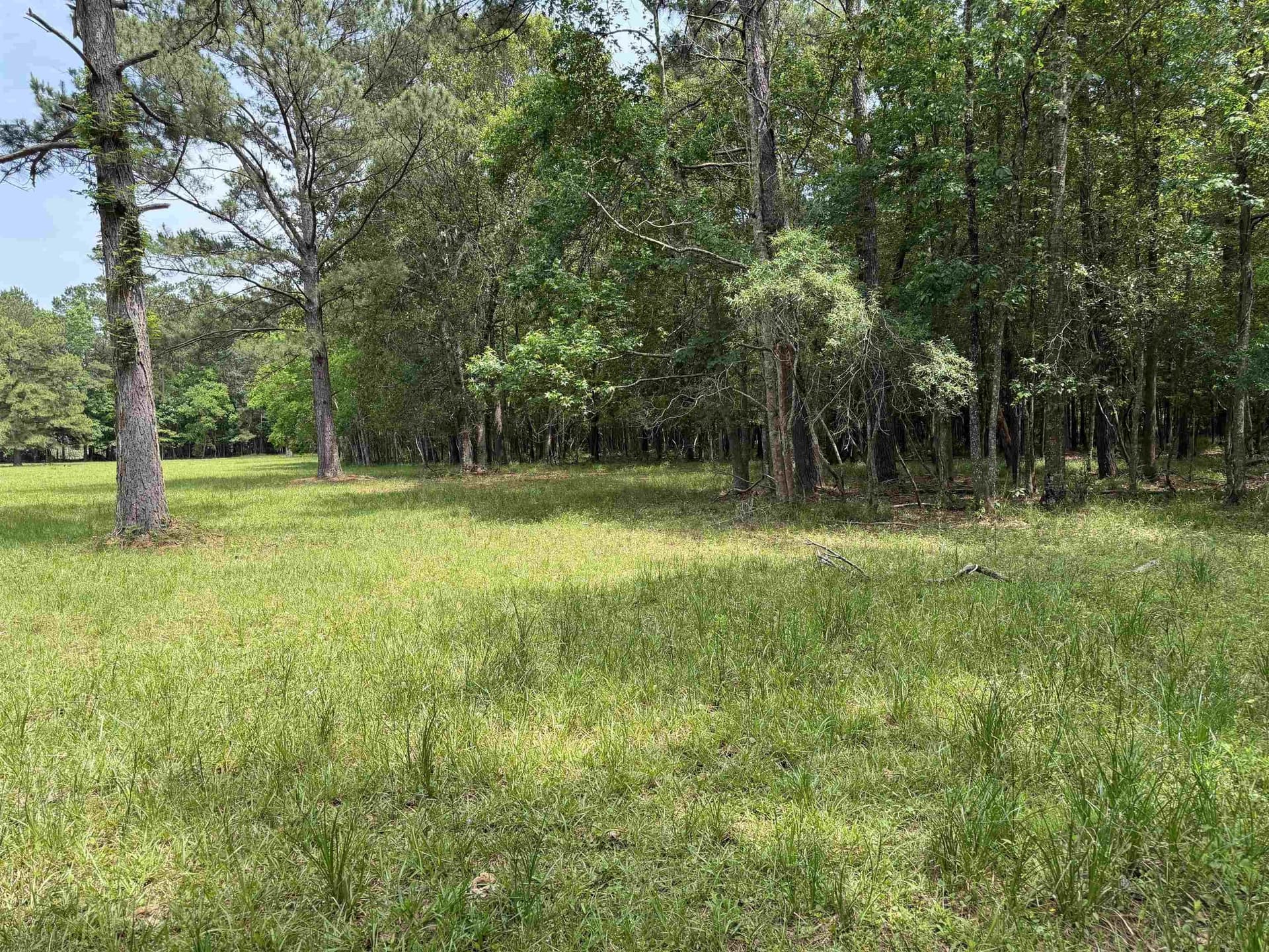 5.38 acres in Texas County gallery image 2