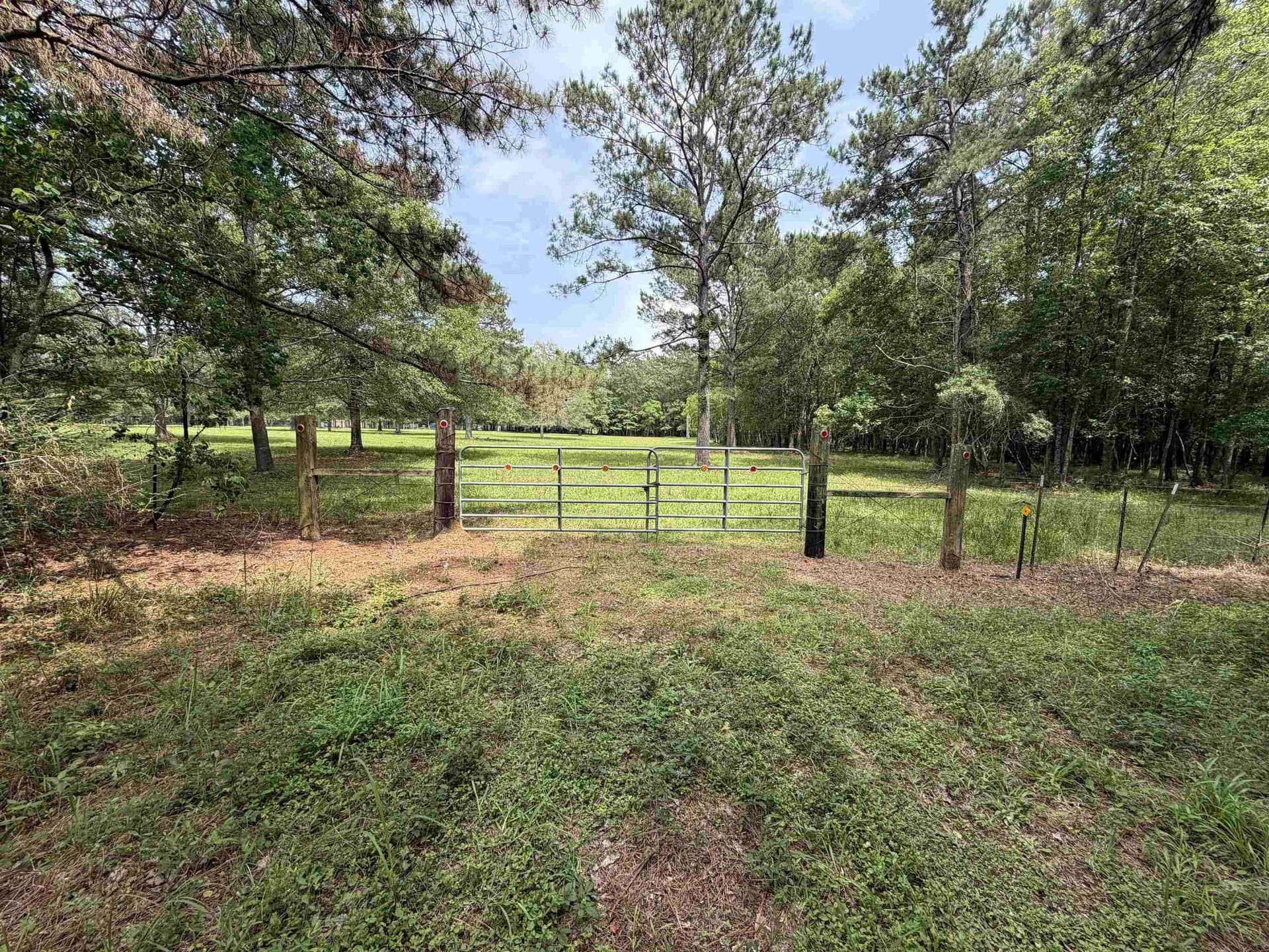 5.38 acres in Texas County gallery image 4