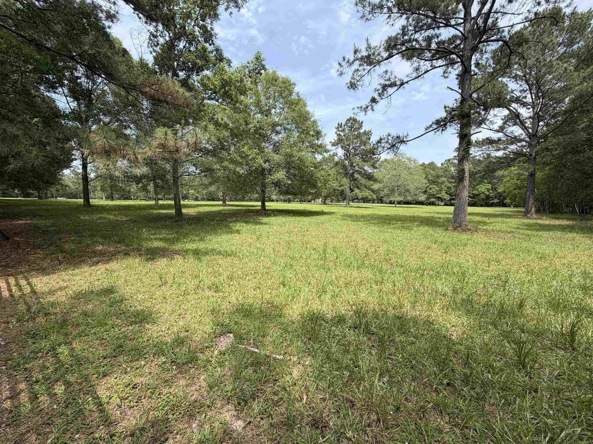 5.38 acres in Texas County featured view