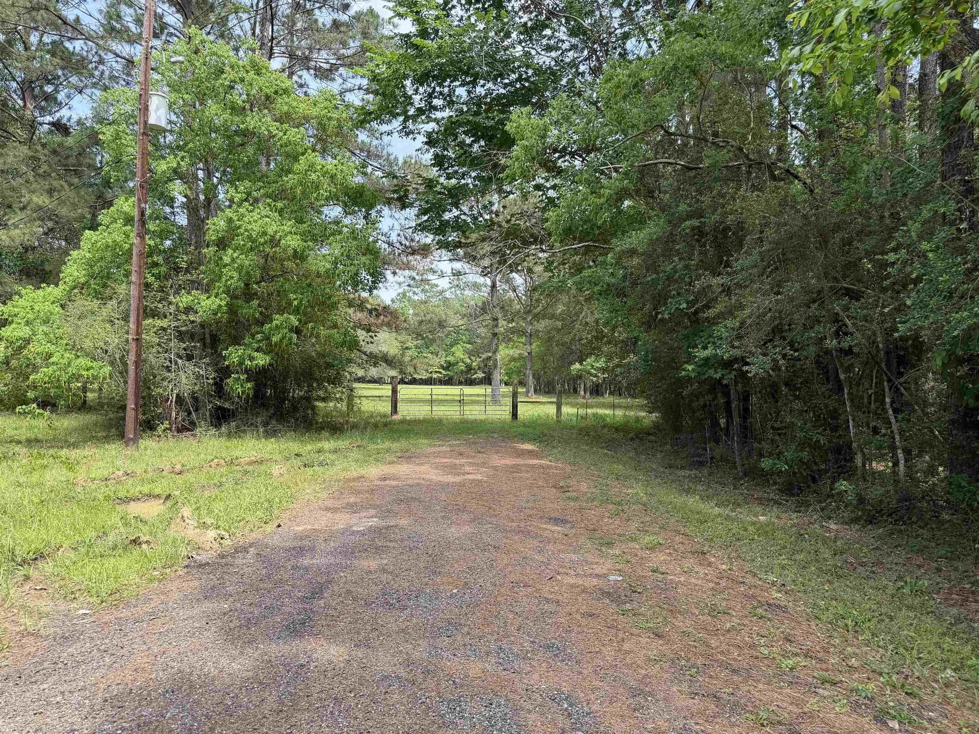 5.38 acres in Texas County gallery image 3
