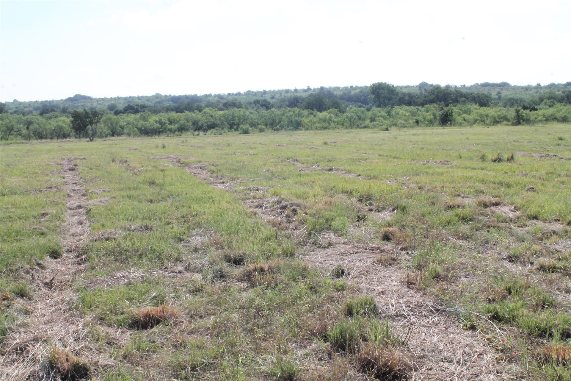 2.96 acres in Comanche County - photo 2