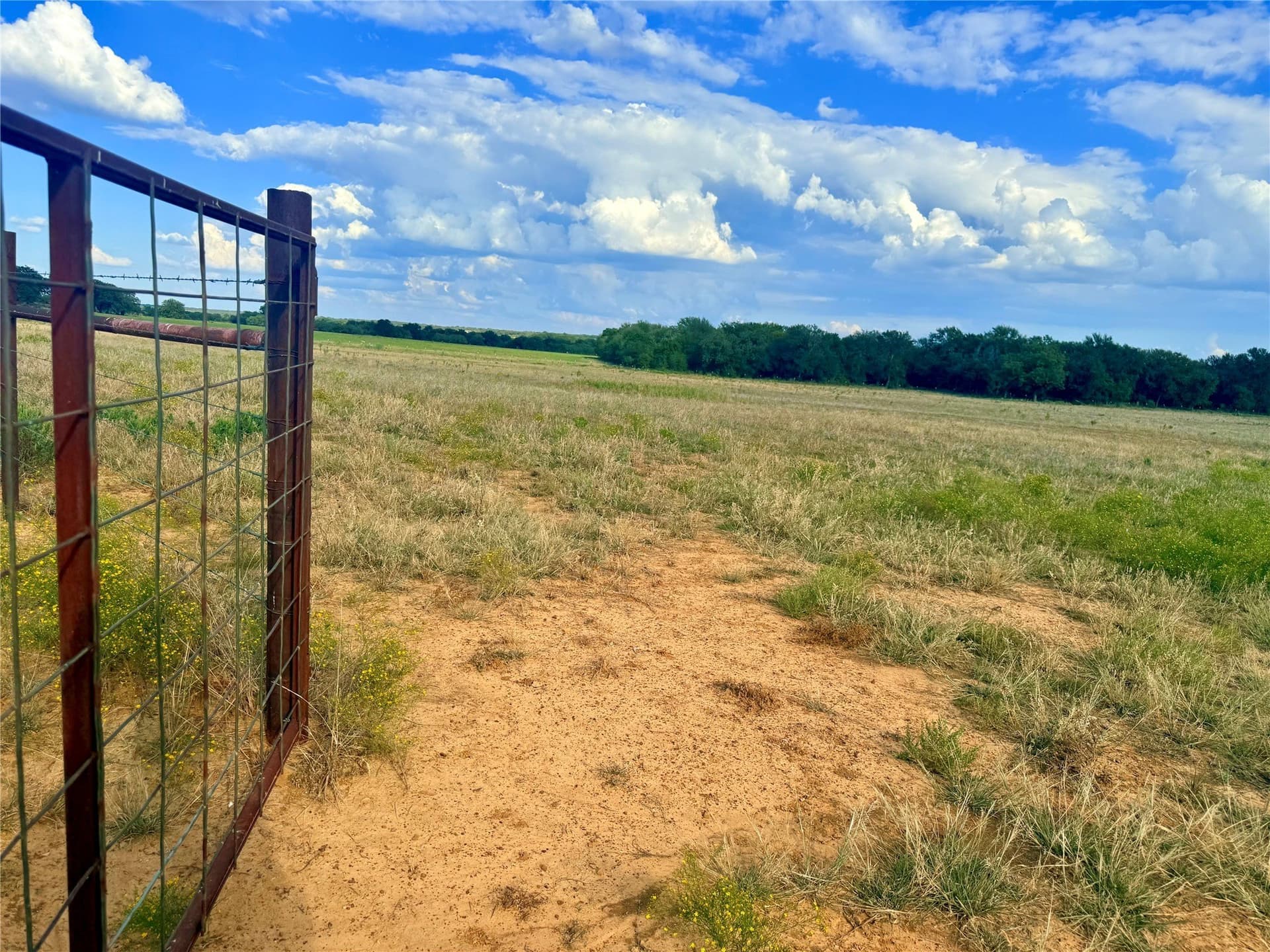 467.81 acres in Jack County - photo 18