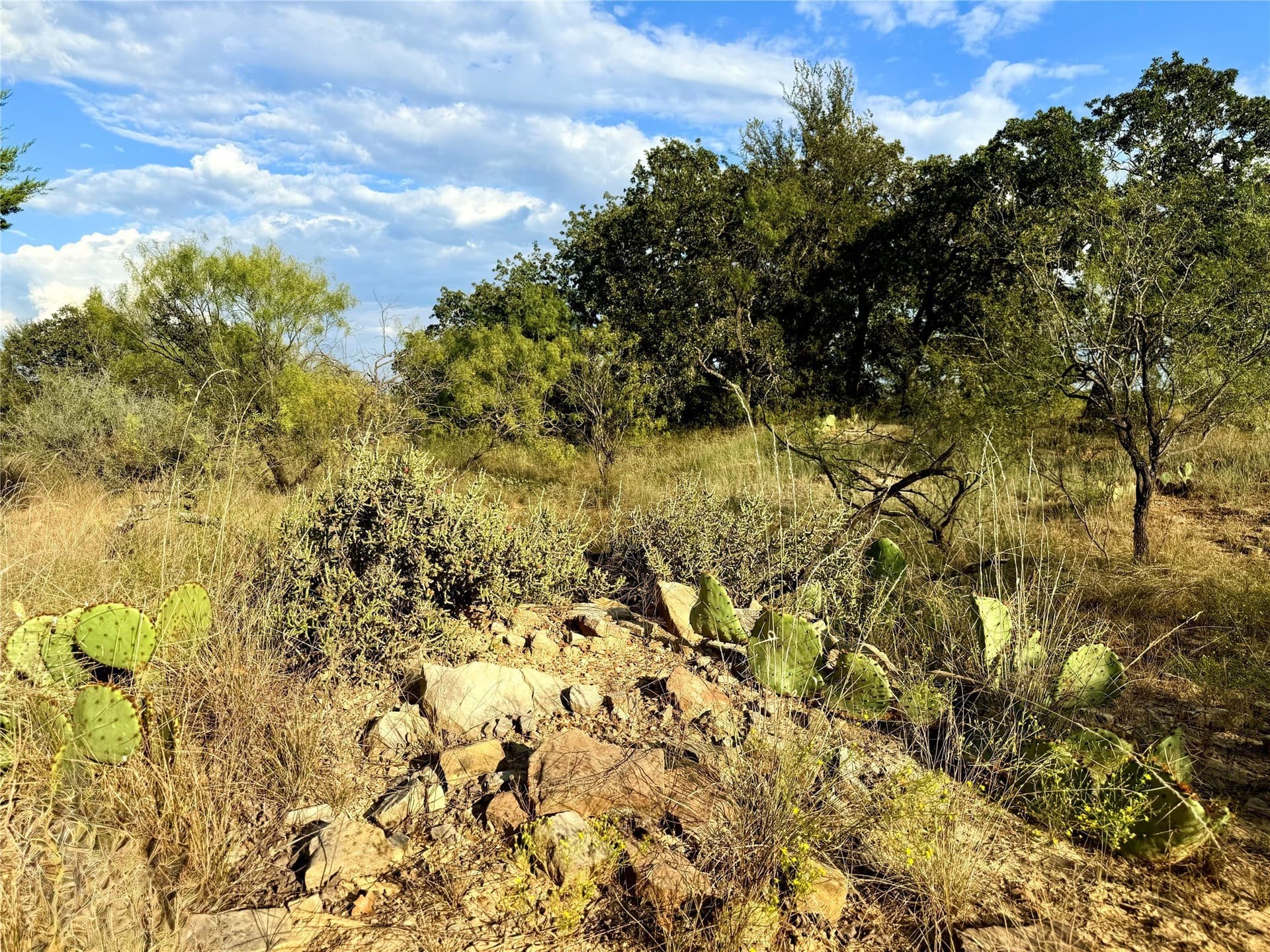 467.81 acres in Jack County - photo 26
